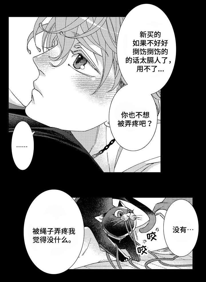 第13章：弄疼
