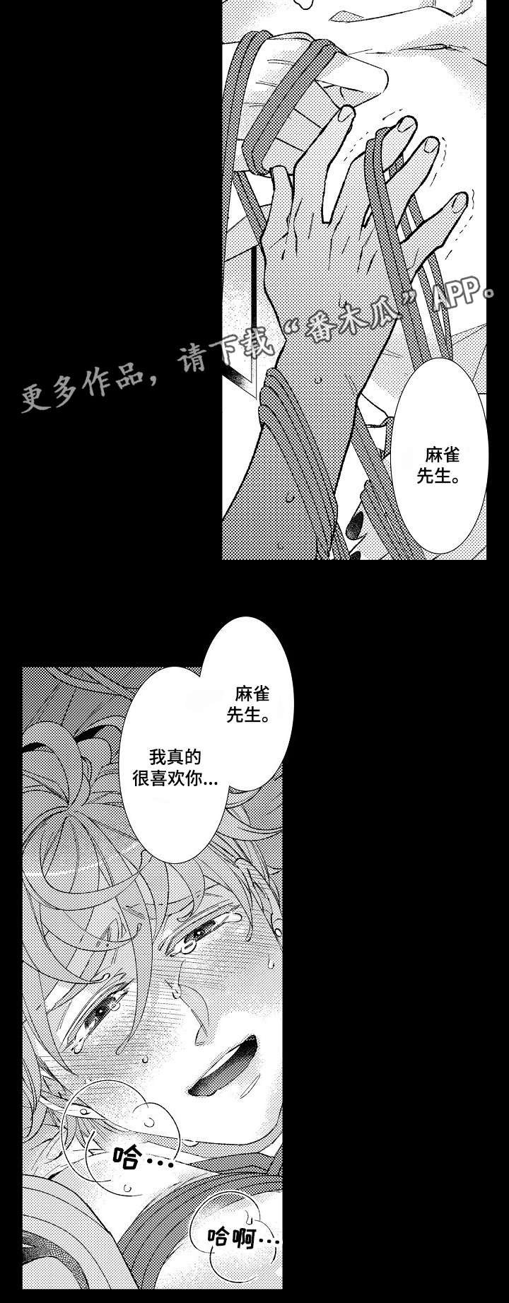第14章：过往