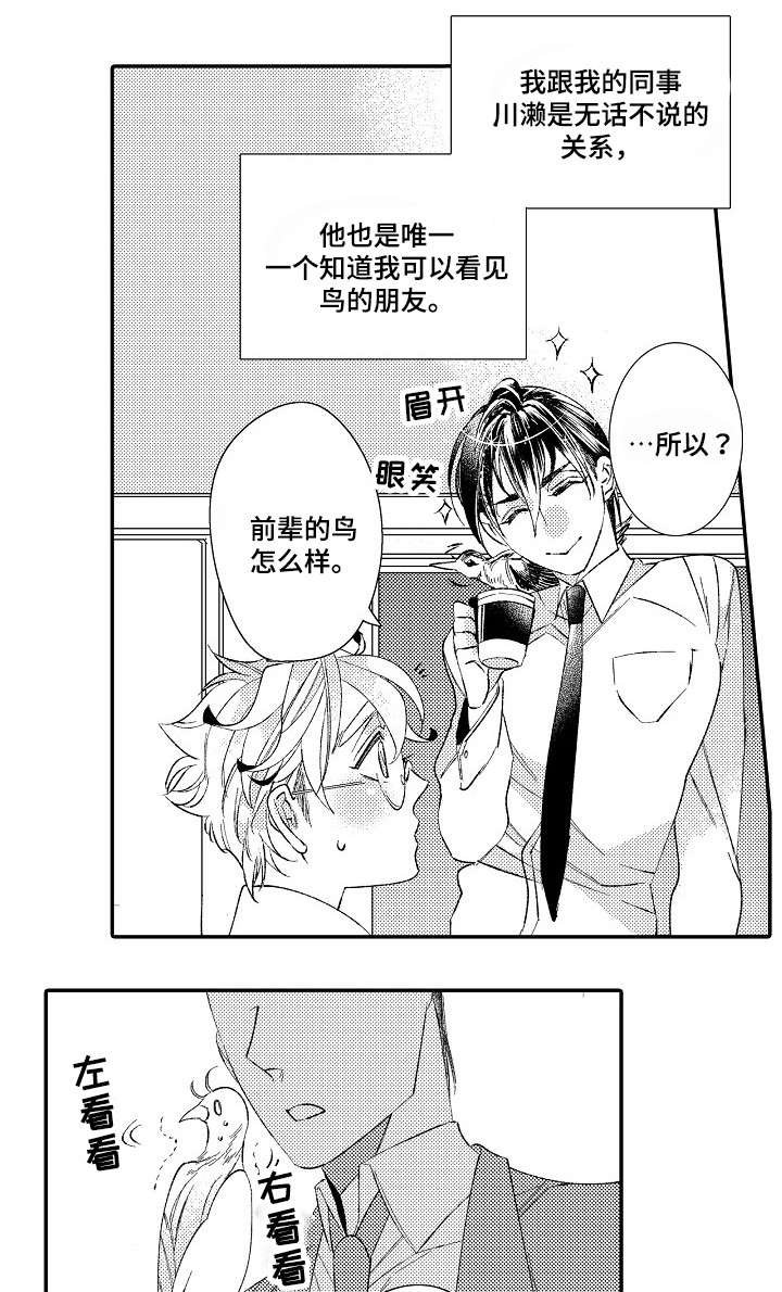 第2章：星鸟