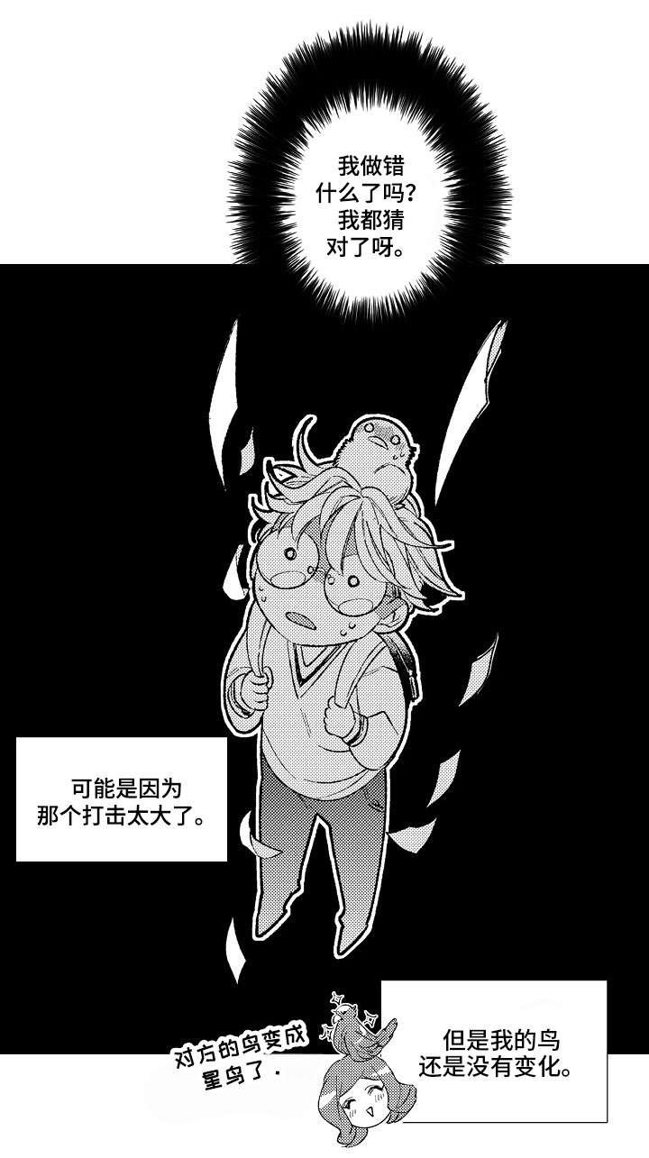 第2章：星鸟
