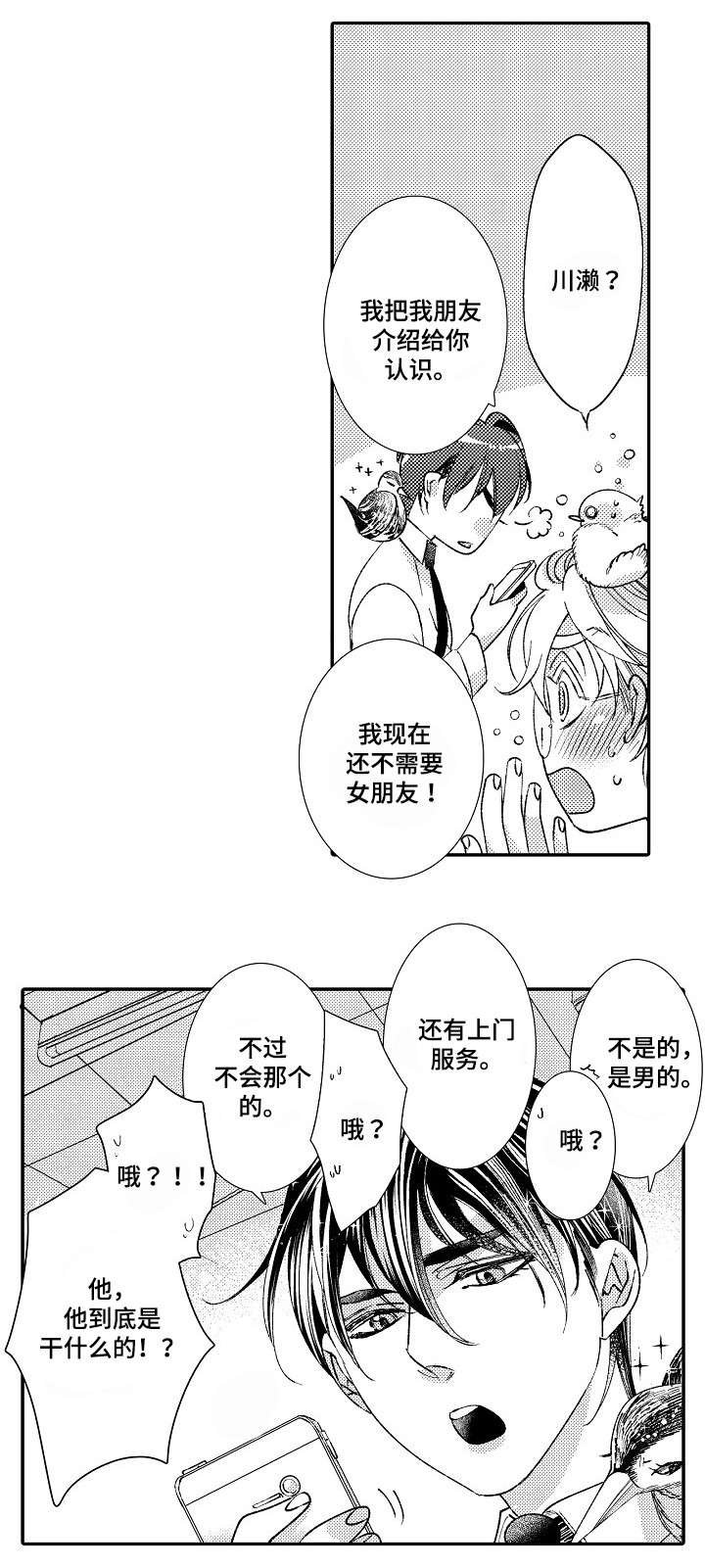 第2章：星鸟