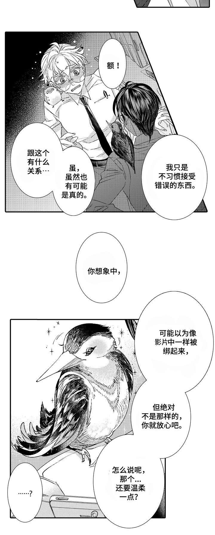 第2章：星鸟