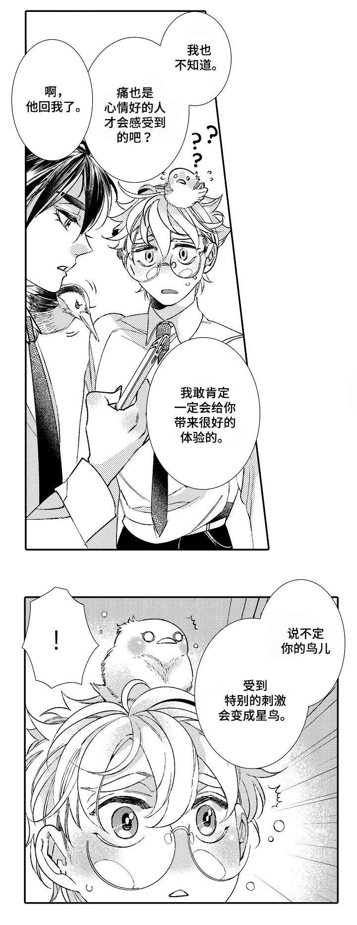 第2章：星鸟