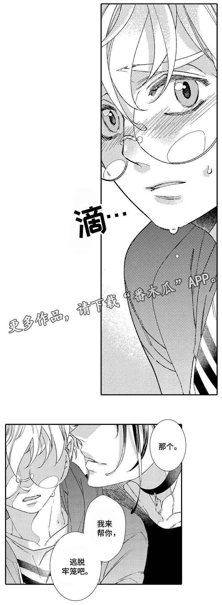第3章：见面