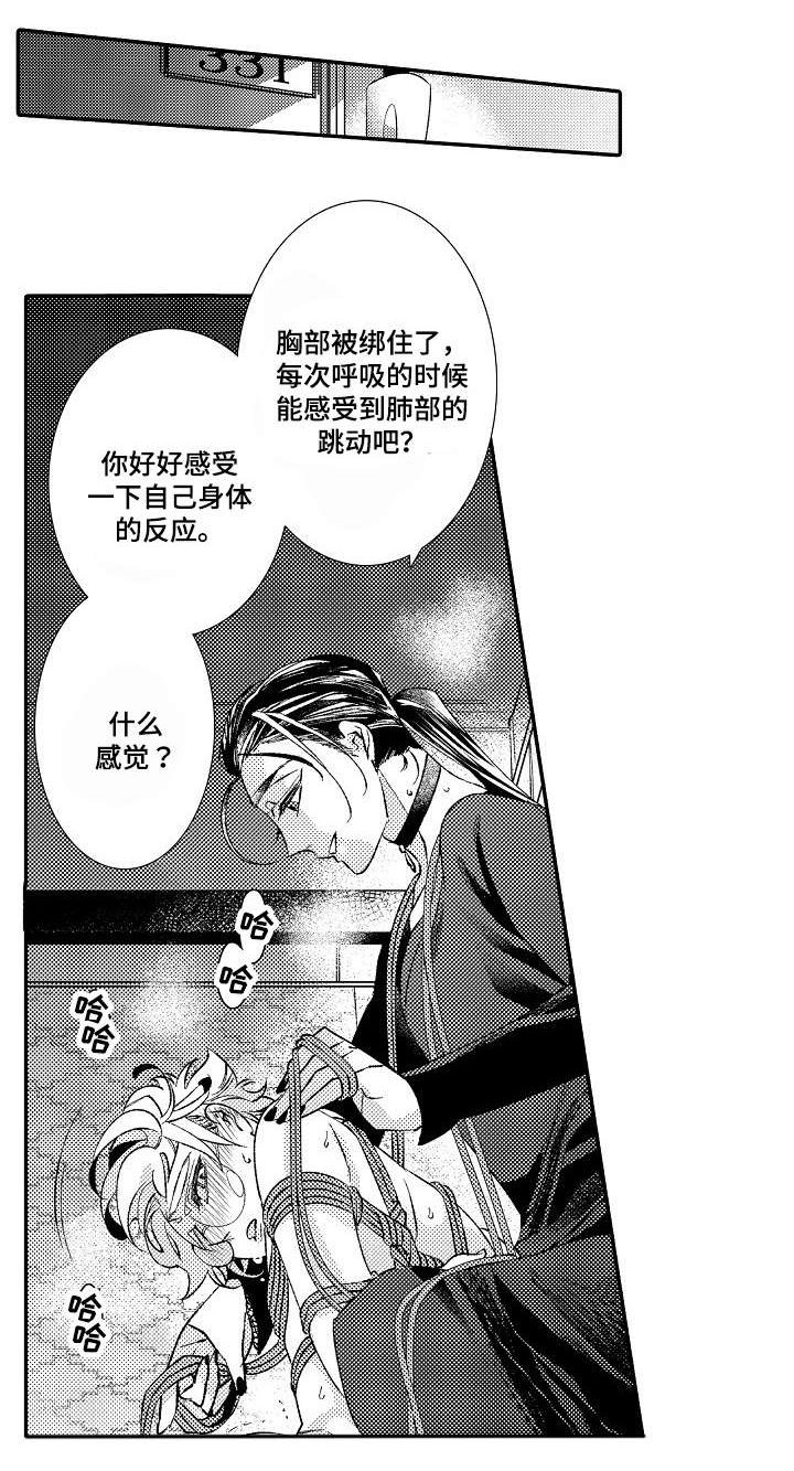 第5章：经验