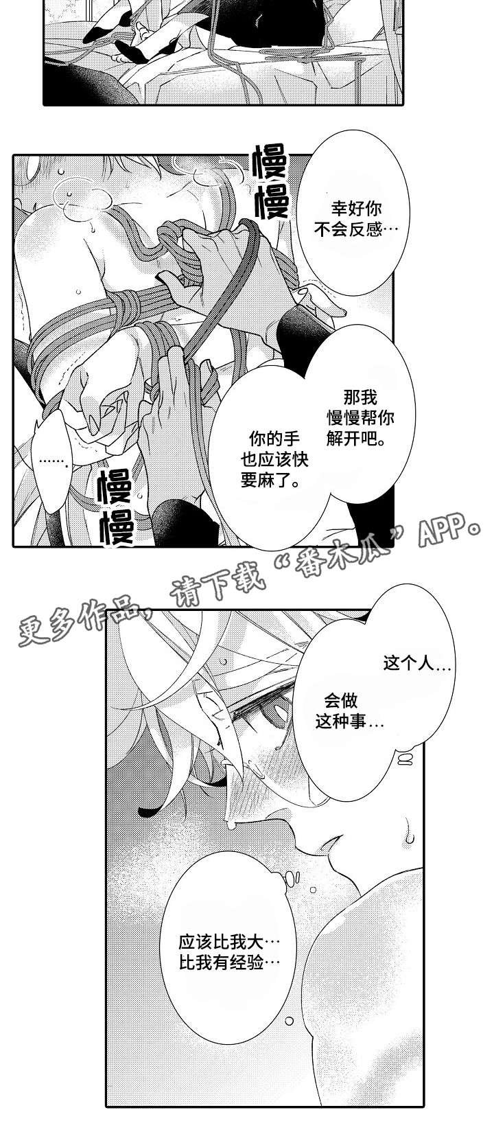 第5章：经验