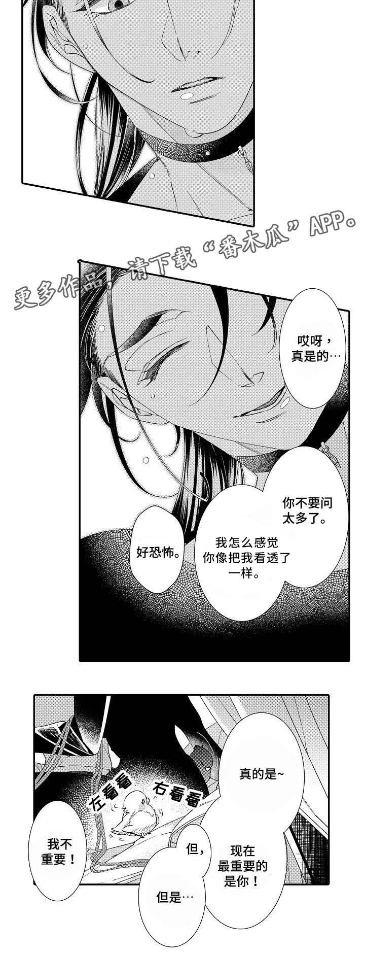 第5章：经验
