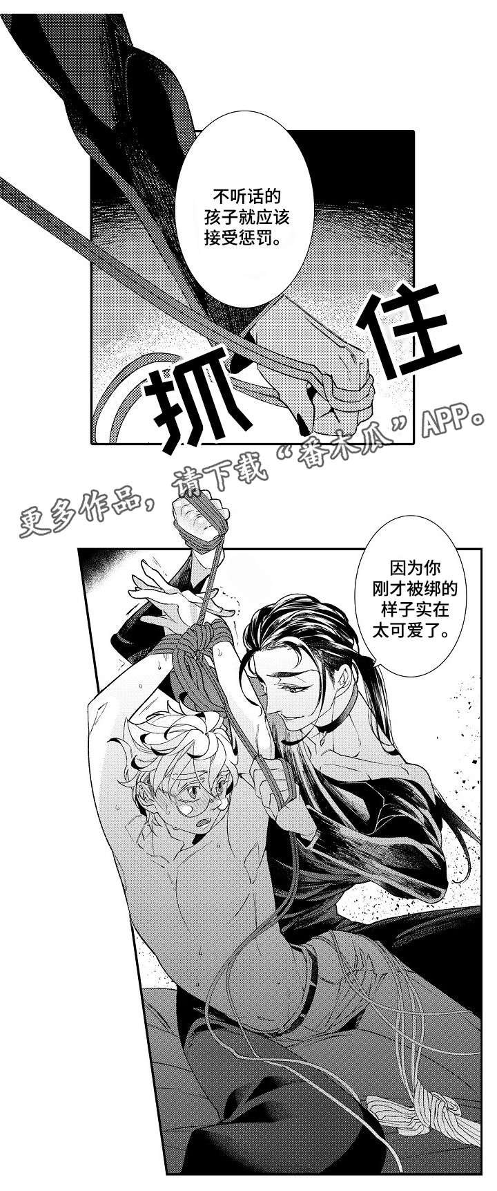第5章：经验
