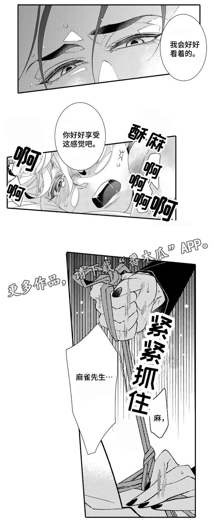 第5章：经验