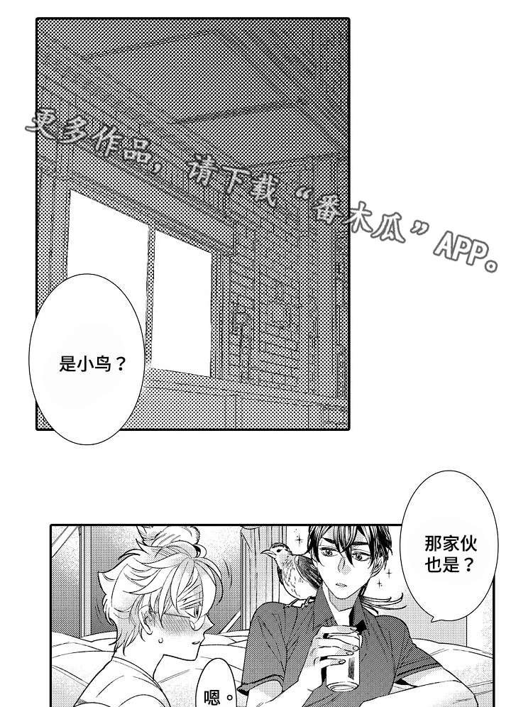 第8章：羡慕