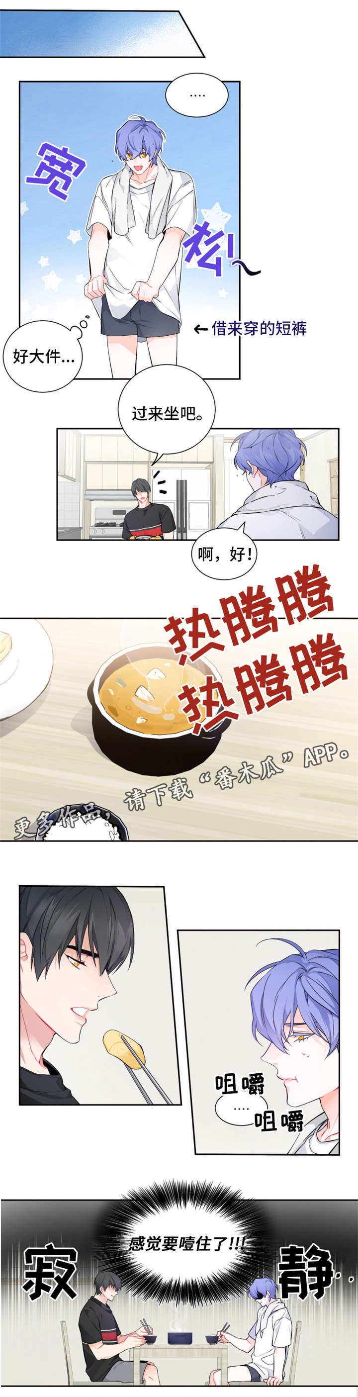 第13章：为什么