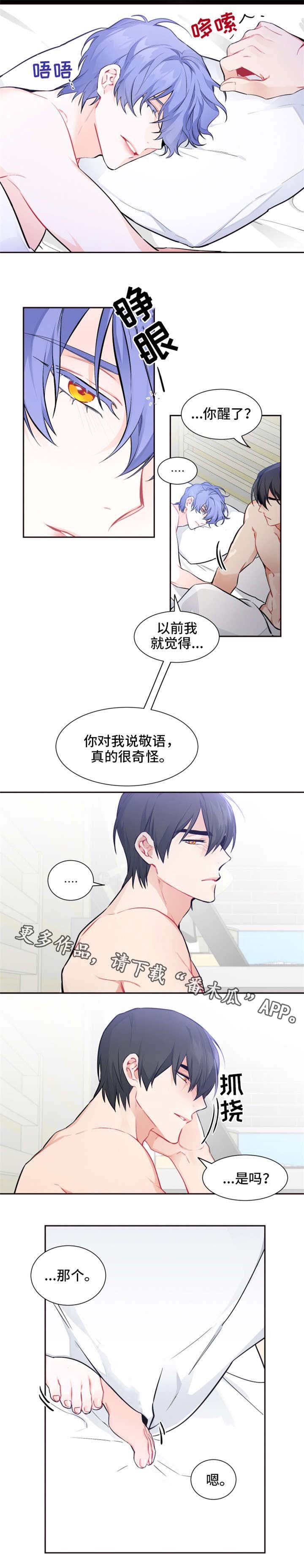 第19章：厚脸皮