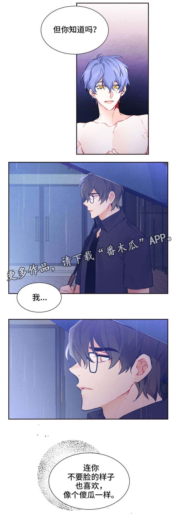 第19章：厚脸皮