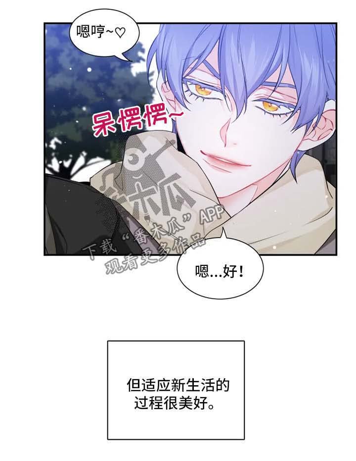 第33章：我爱你【完结】