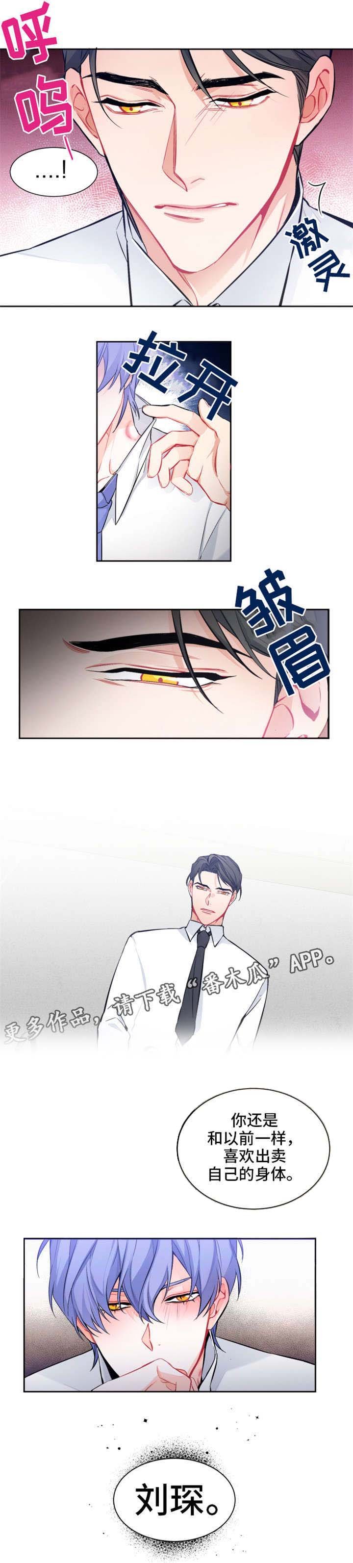 第6章：回答