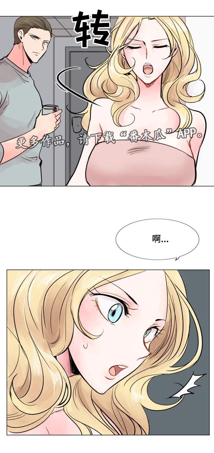 第33章：理想型