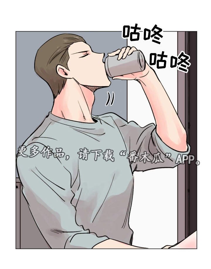 第33章：理想型