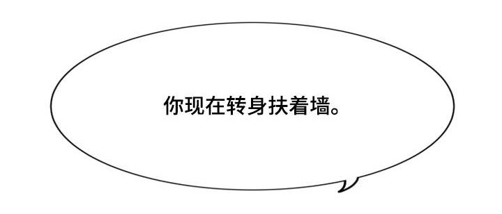 第33章：理想型