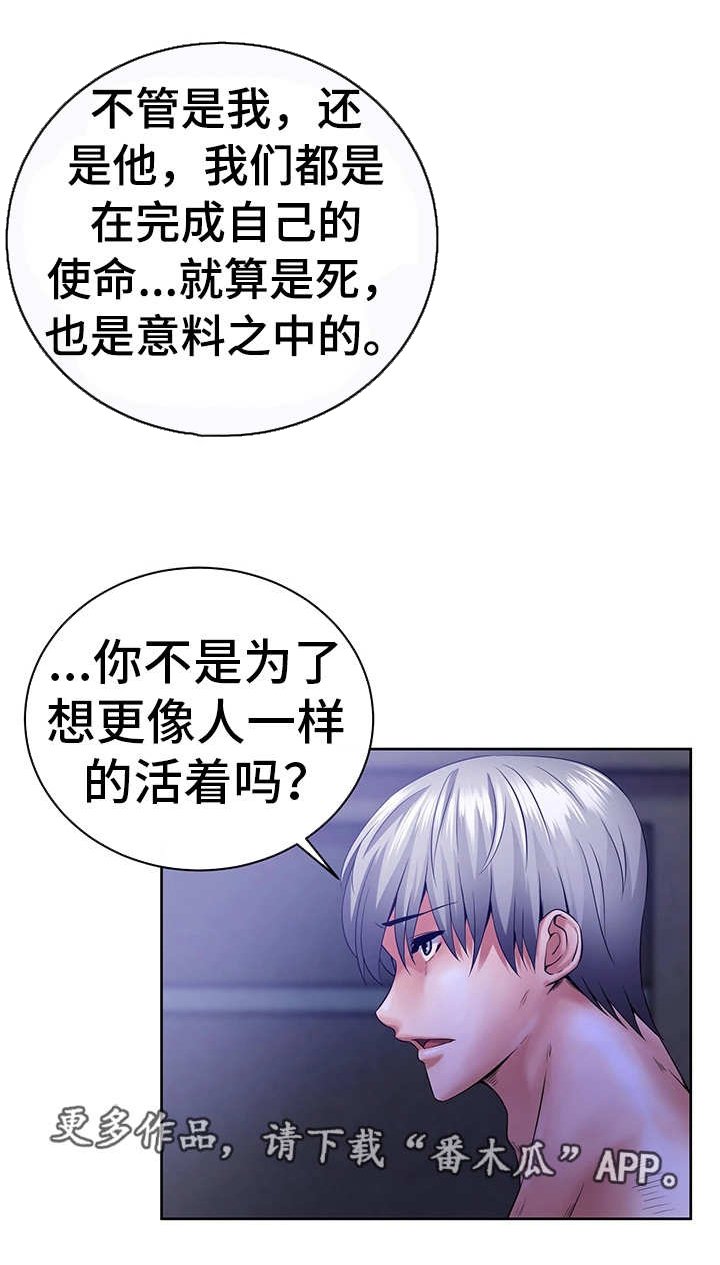 第11章：该做的事