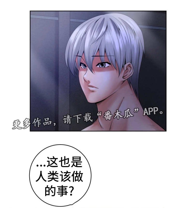 第11章：该做的事