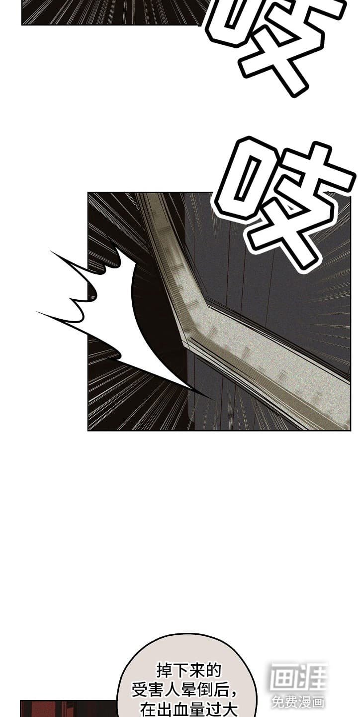 第15章：调查