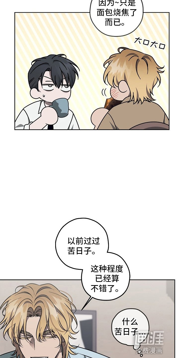 第17章：黑暗料理