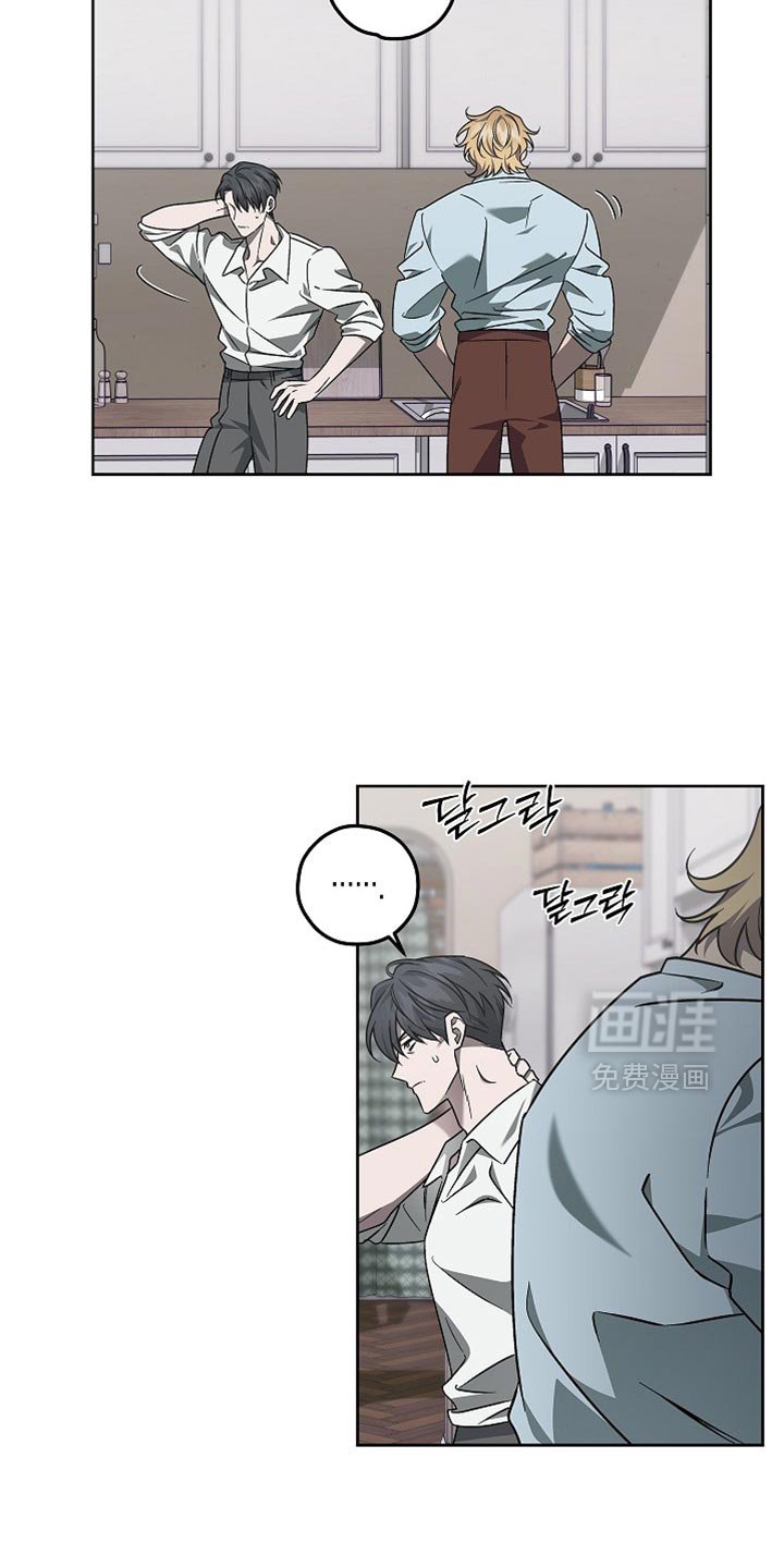 第20章：字面意思