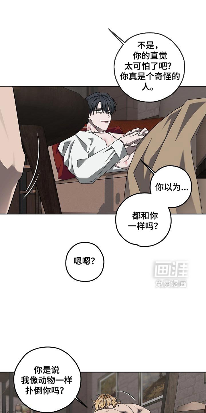 第36章：直觉