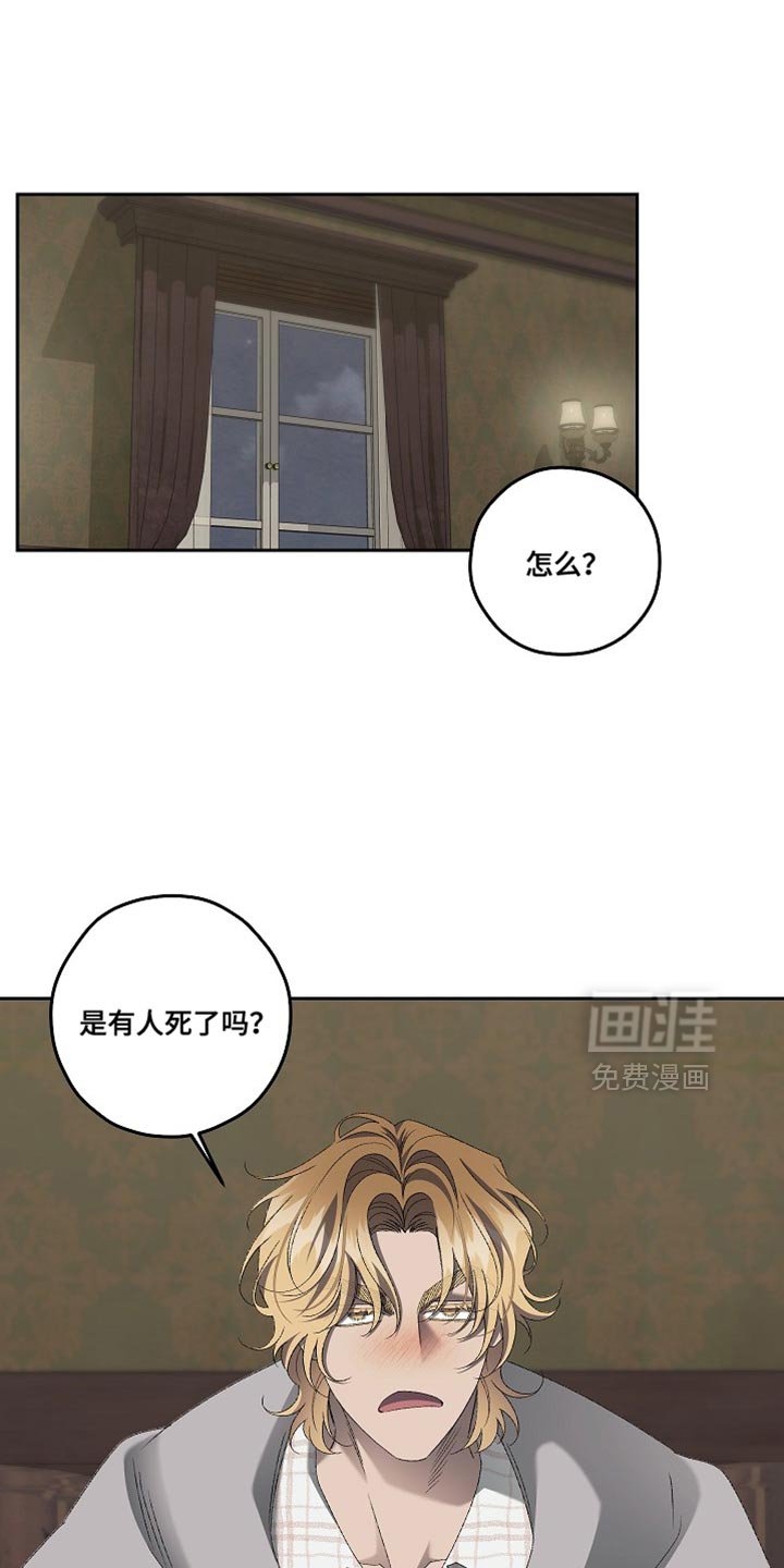 第66章：不是你的错