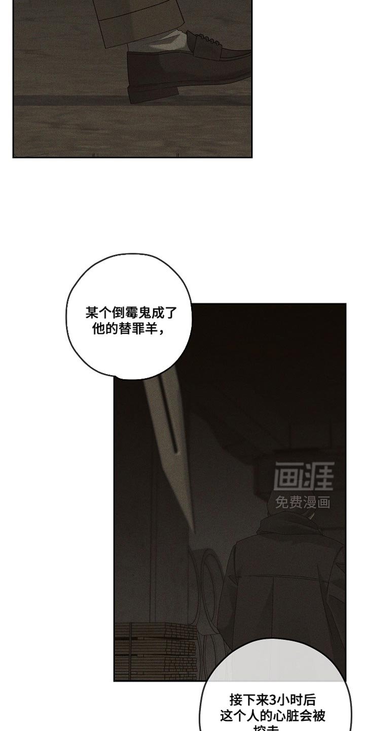 第66章：不是你的错