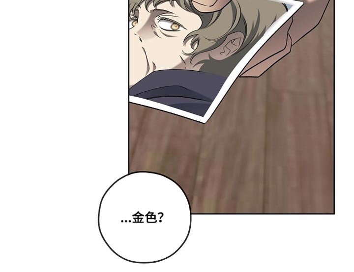 第69章：灿烂的荣耀