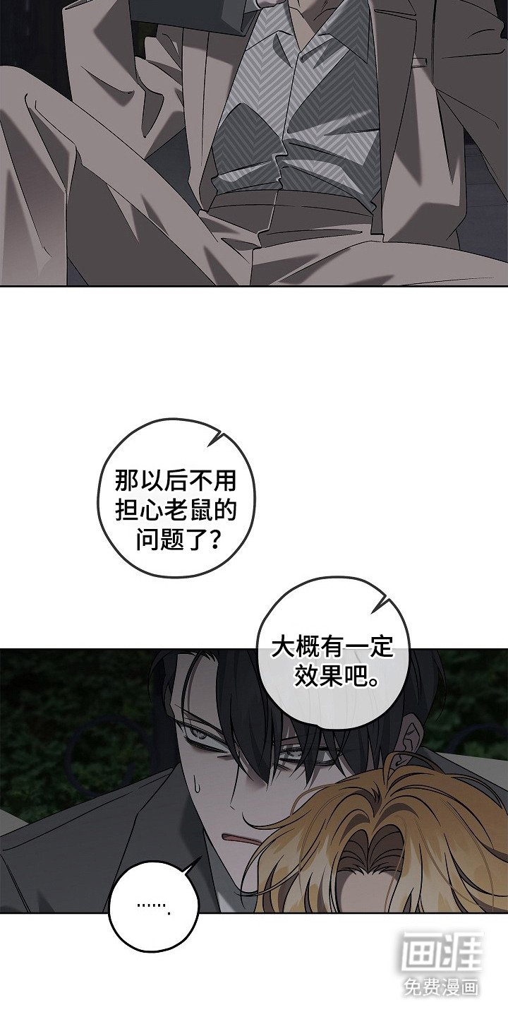 第8章：再次潜入