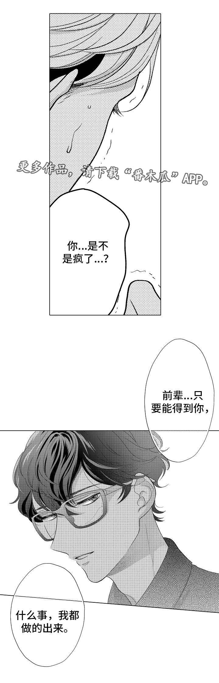 第19章：阴谋