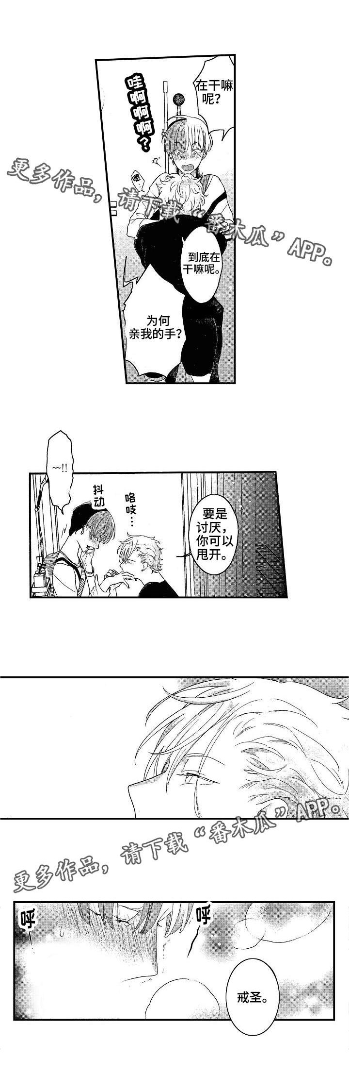 第11章：解释