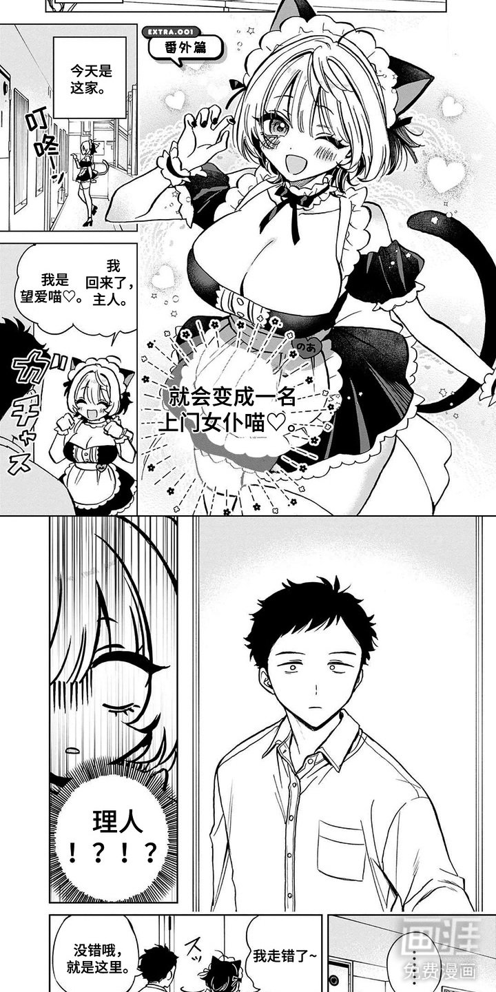 第14章：安慰
