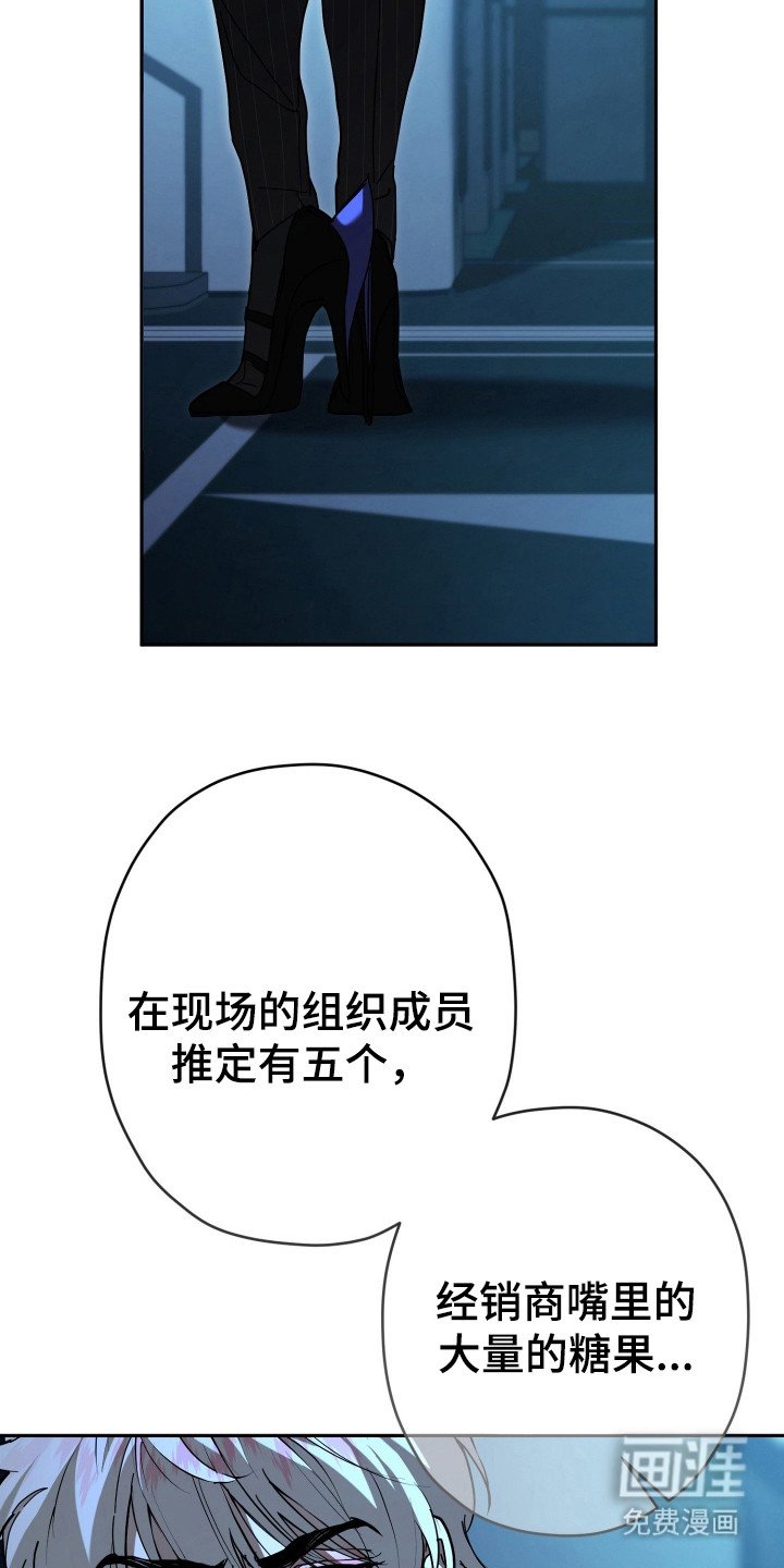 第11章：会议