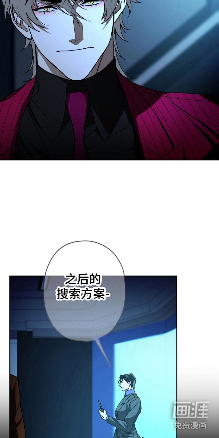 第11章：会议