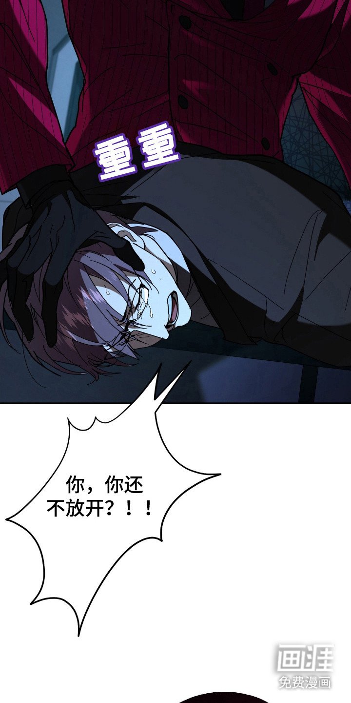 第11章：会议