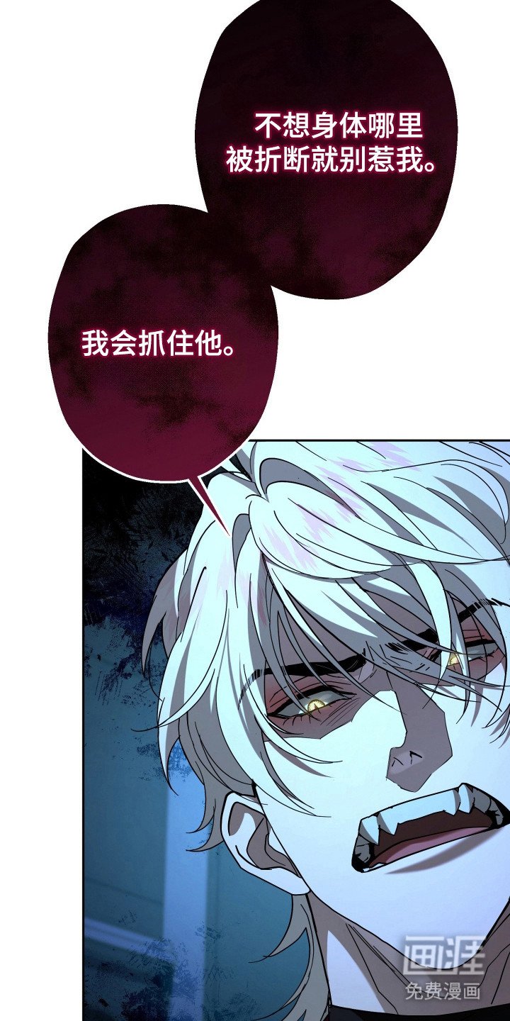 第11章：会议