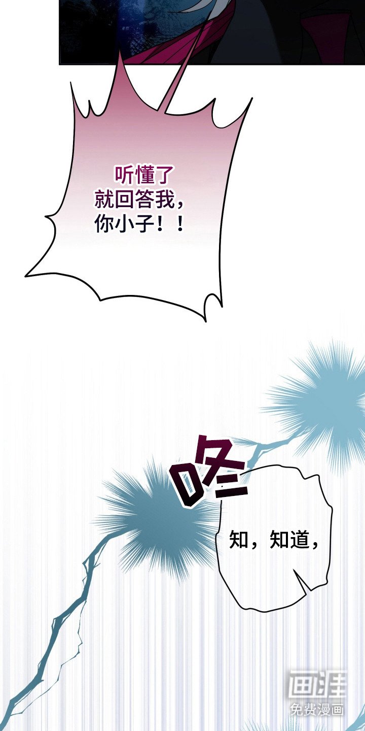 第11章：会议