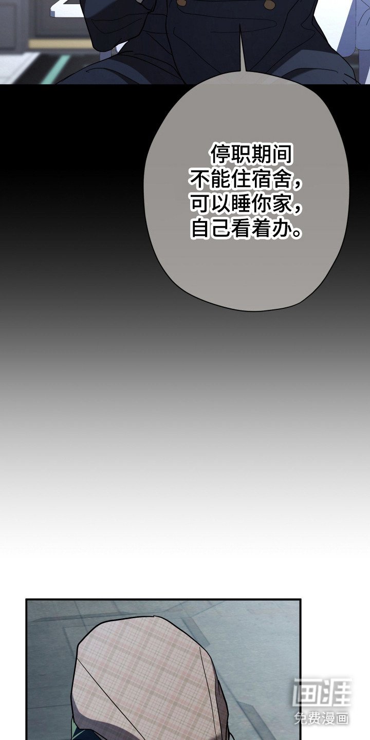 第12章：安逸