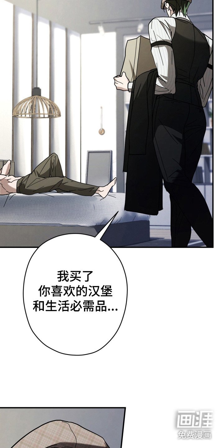 第12章：安逸
