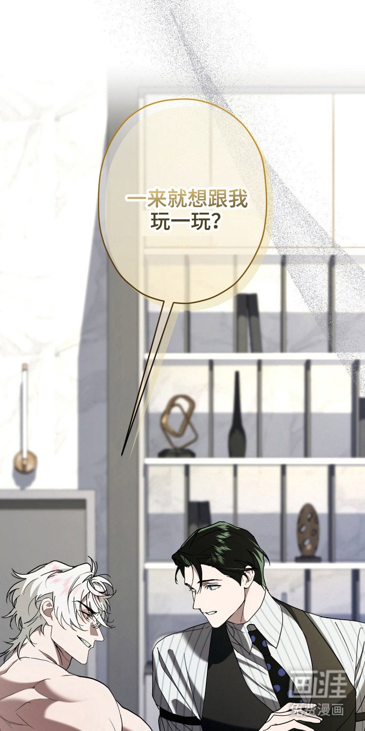 第12章：安逸