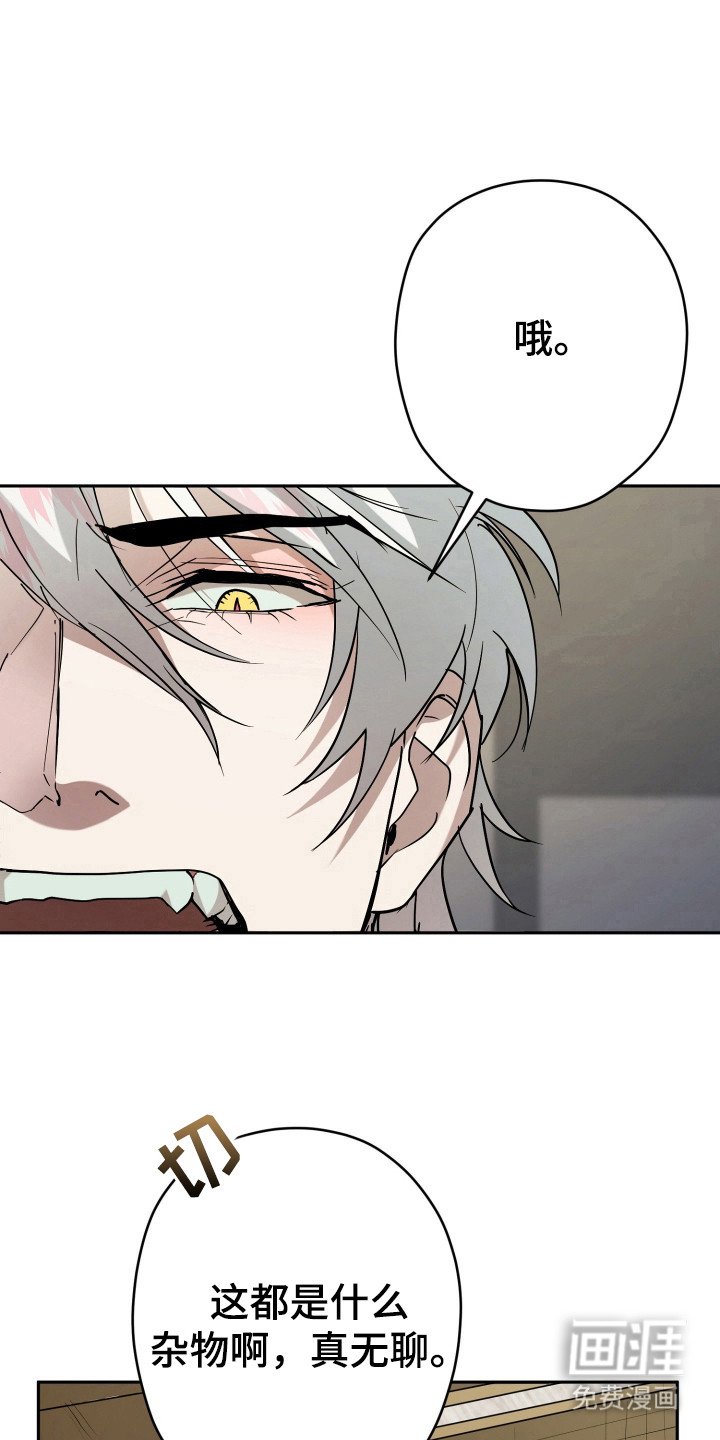 第13章：全家福