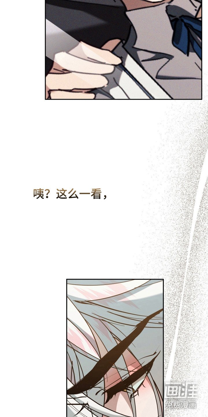 第13章：全家福