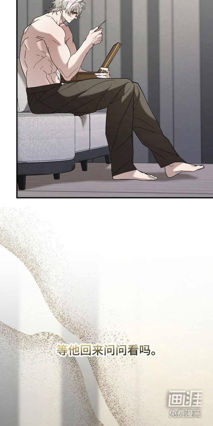 第13章：全家福