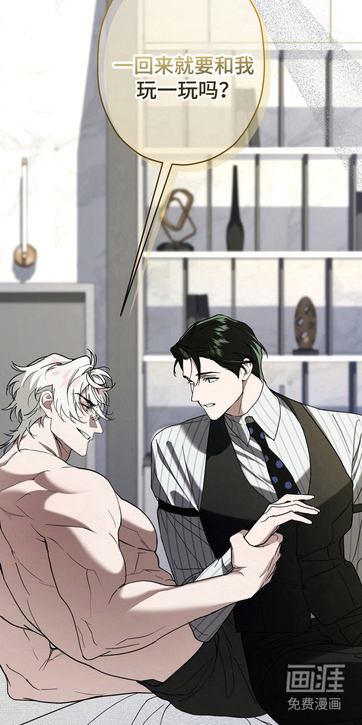 第13章：全家福