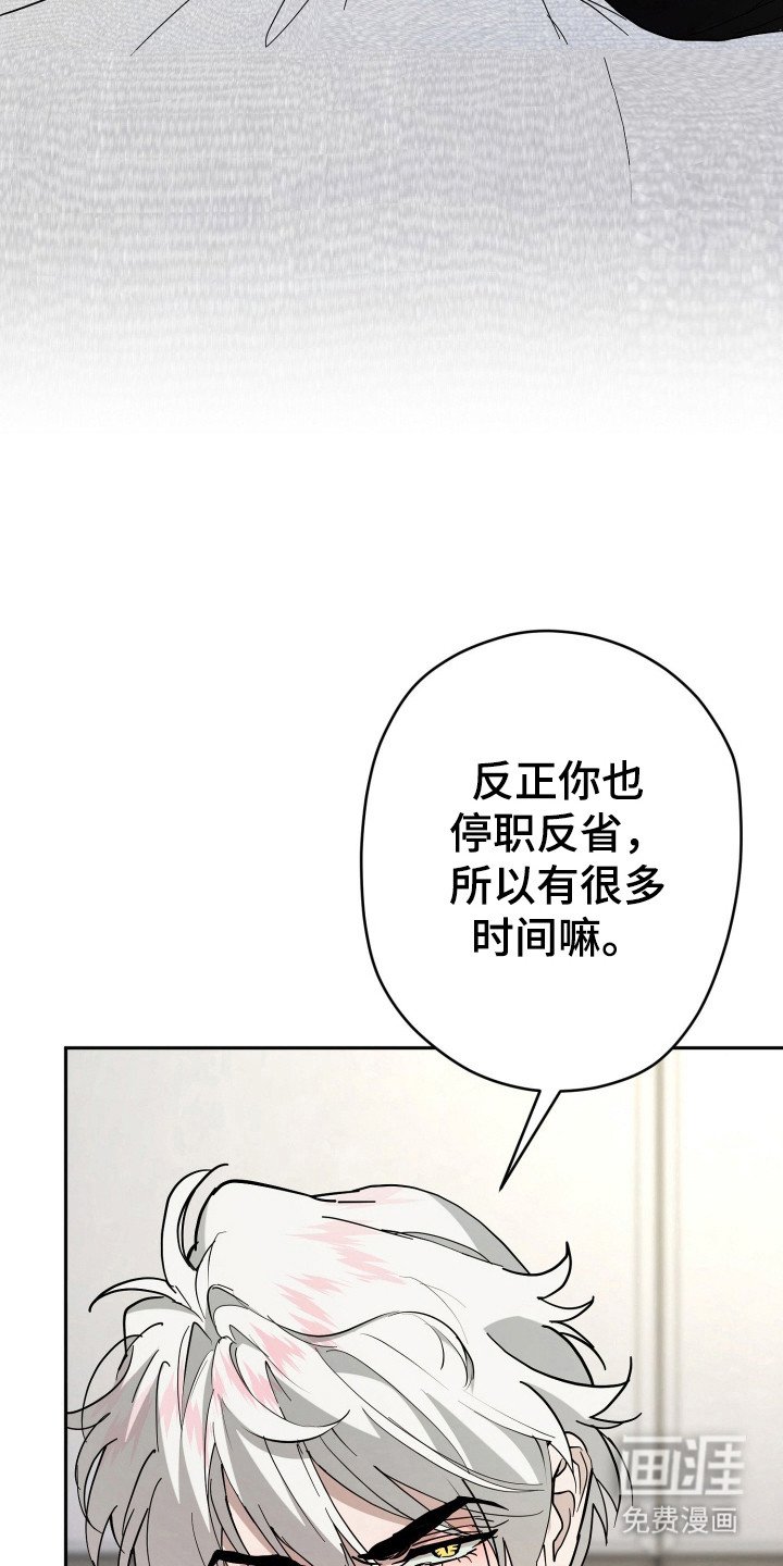 第13章：全家福