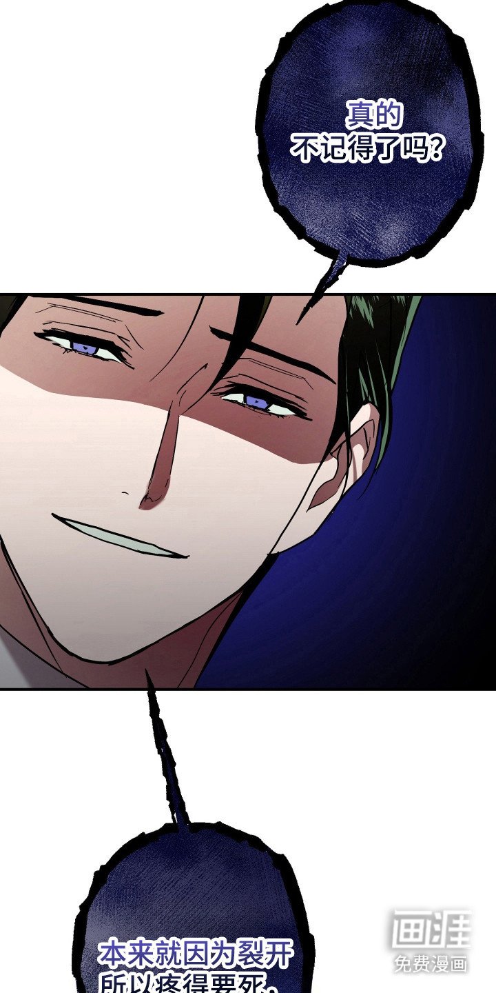 第13章：全家福