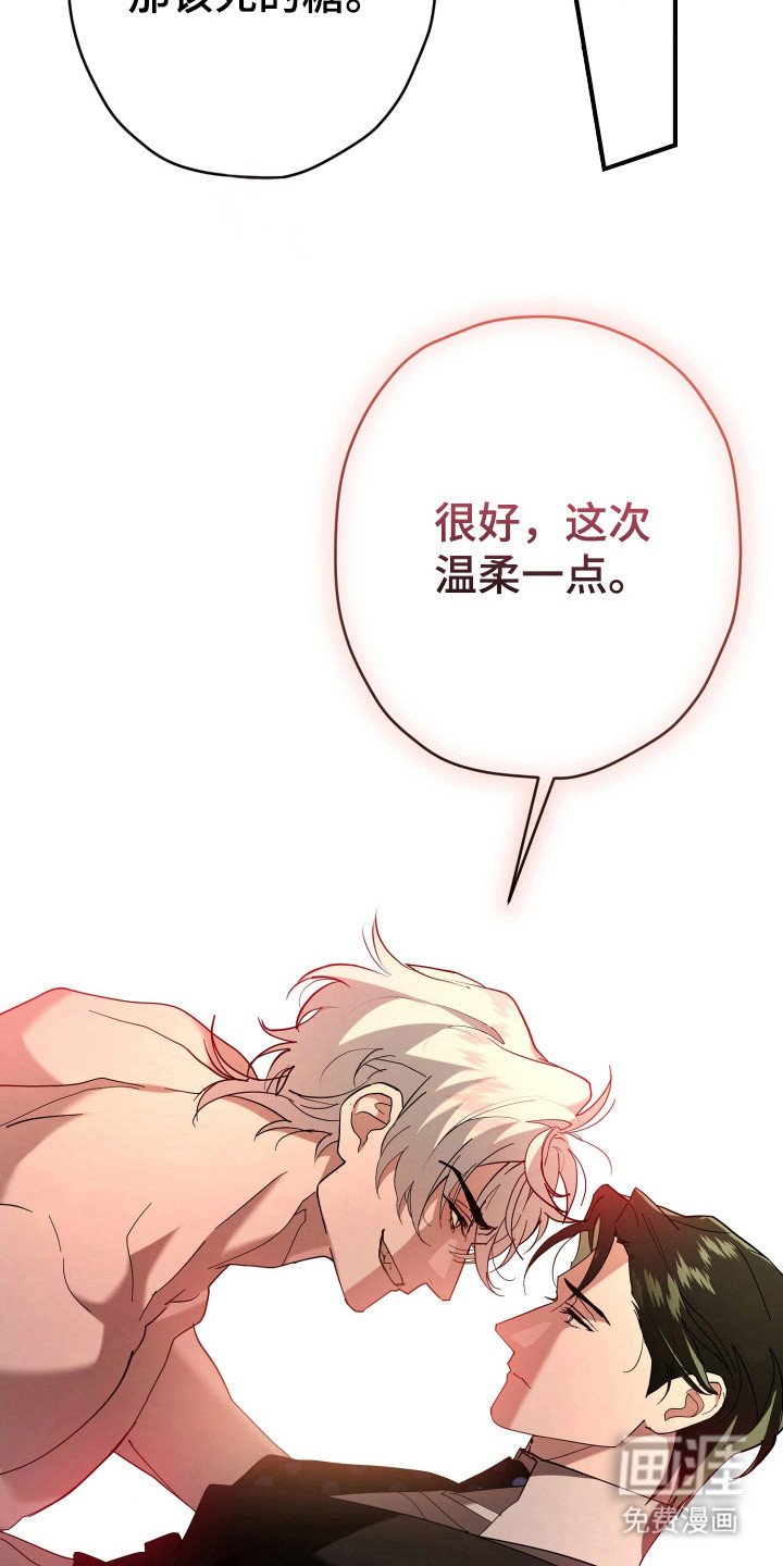 第13章：全家福
